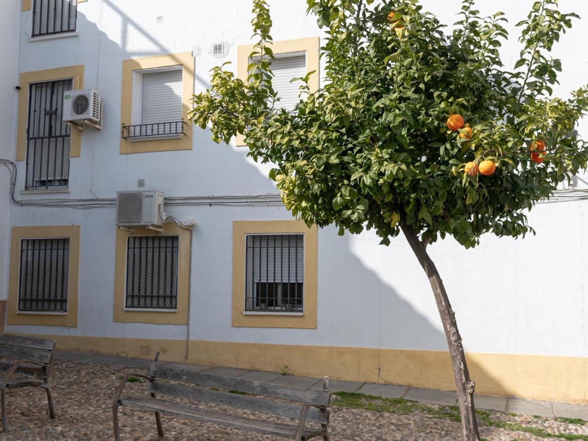 Nayber Gavia - Nuevo Y Centrico Apartamento En Cordoba Exterior photo